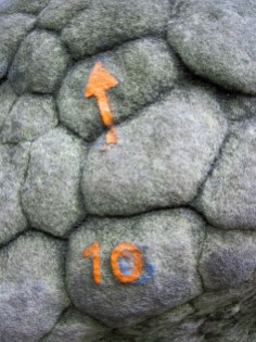 The painted mark and arrow showing the start and direction of orange bouldering problem 10 at Rocher des Potets.