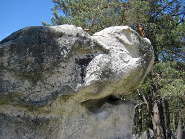 A boulder with the head of a shark at Rocher des Potets.