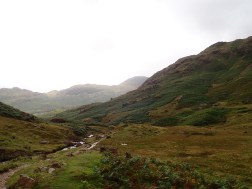 The Blake Rigg Boulders, with the East Boulder on the left, and the West Boulder sitting above a patch of bracken on the right.