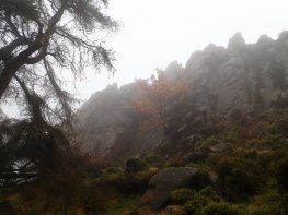 The Upper Tier at the Roaches - pretty, but not good for climbing on that day.