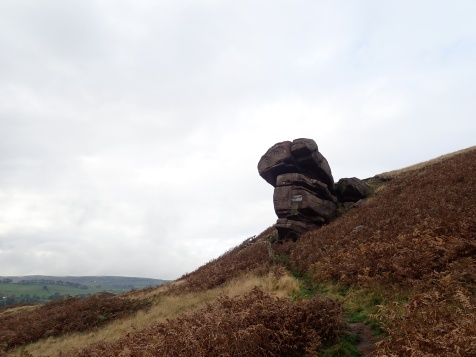The Hanging Stone, which sits at one end of the Roaches ridge, near Danebridge. It has two plaques on it - one in memory of the local squire's dog (buried under the stone) and the other in memory of Lt Col Courtney Brocklehurst, whose family used to own the Roaches estate.